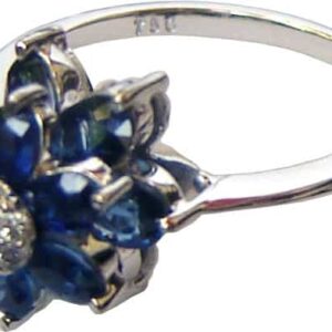 Blue Sapphire and Diamond Ring